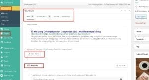 Smart Crawl Pro edit meta