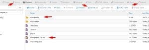 upload file instalasi wordpress