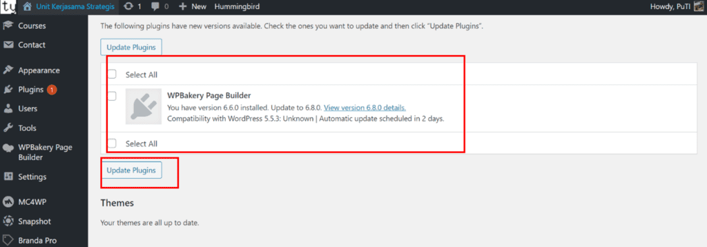 17 Update Plugin WordPress
