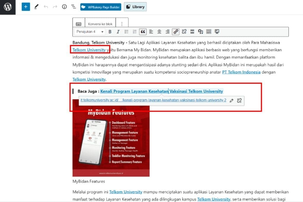 9 Internal Link Telkom University