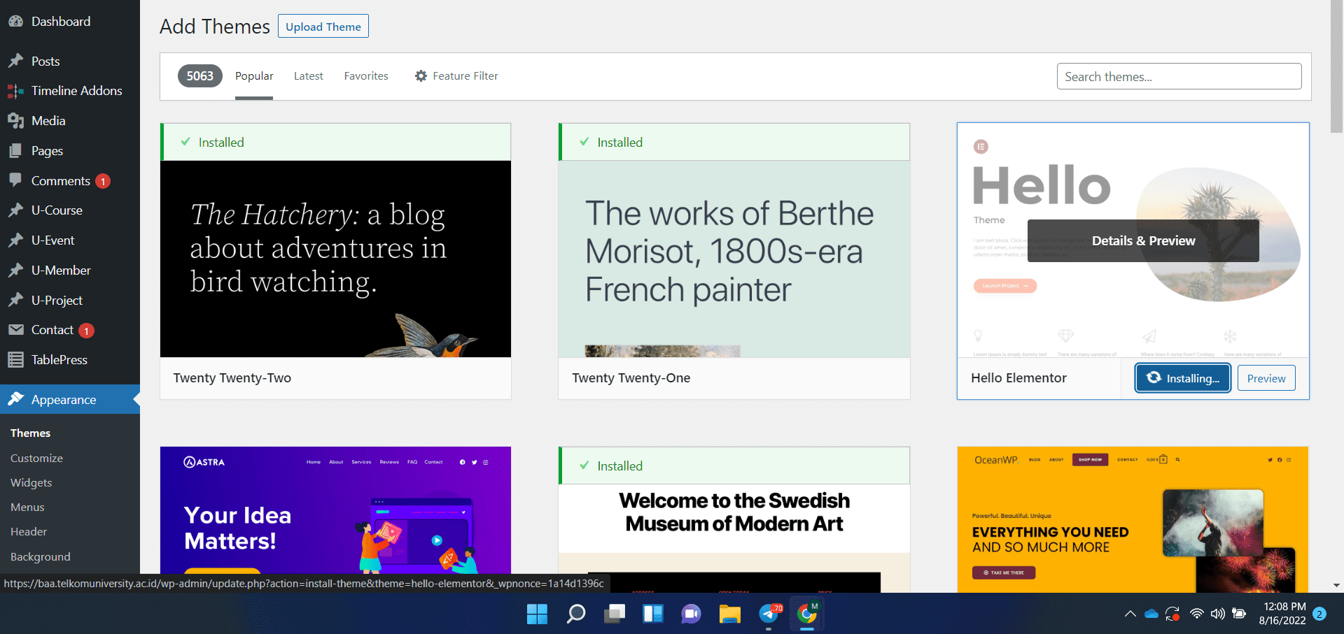 cara mengganti theme wordpress
