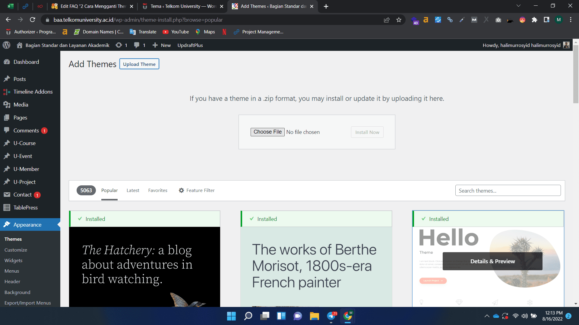 cara mengganti theme wordpress